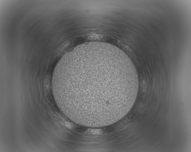X0000078000665200611251439
