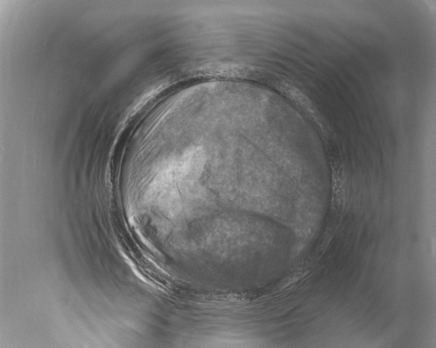 X0000078000674200611251438