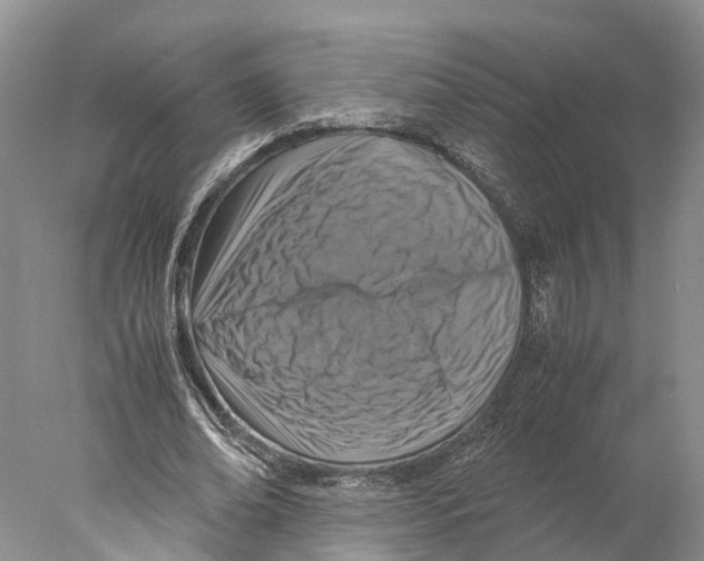 X0000078000678200611251438