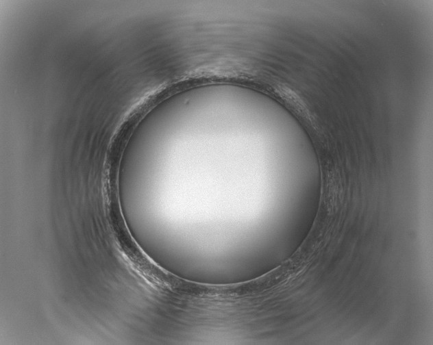 X0000078000680200611251438
