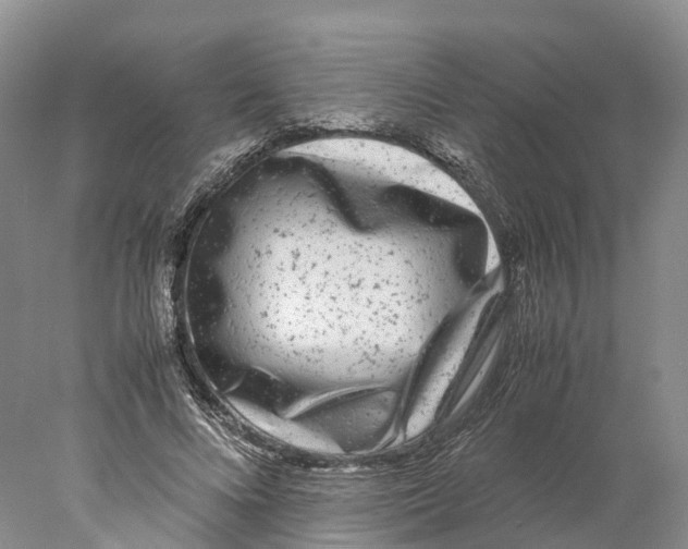X0000078000688200611251438