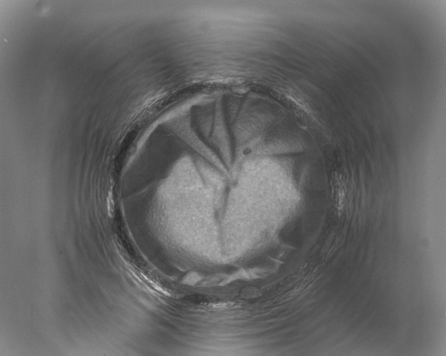 X0000078000692200611251438
