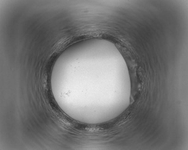 X0000078000693200611251438