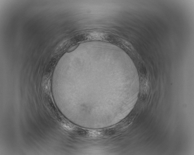 X0000078000701200611251437