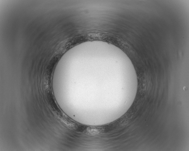 X0000078000706200611251437