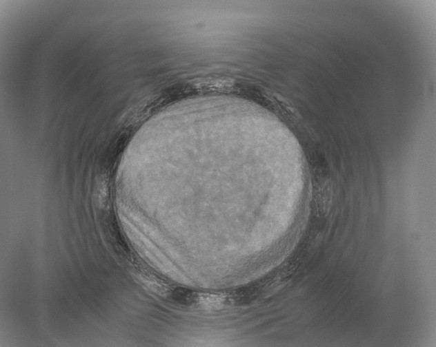 X0000078000709200611251437