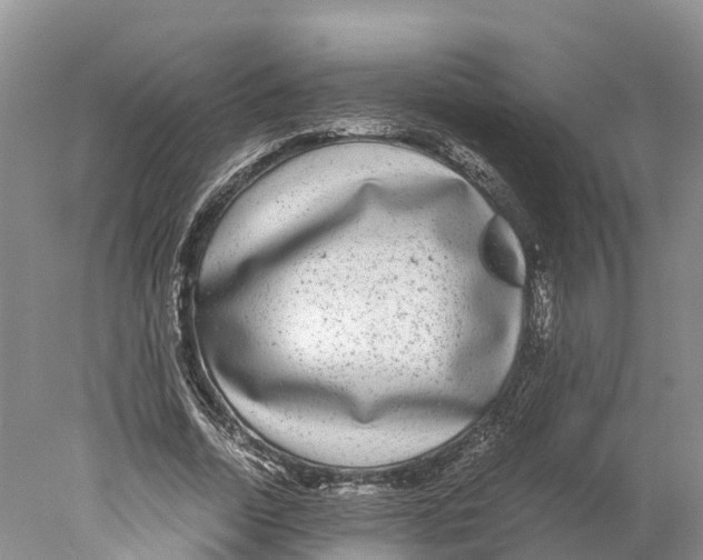 X0000078000730200611251436