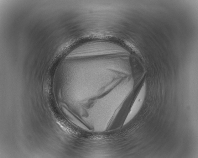 X0000078000736200611251437