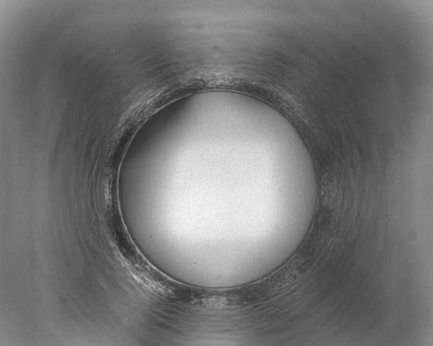 X0000078000740200611251437