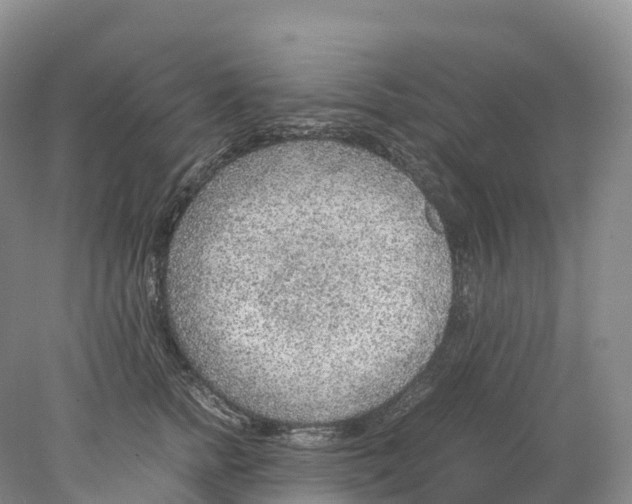 X0000078000758200611251437