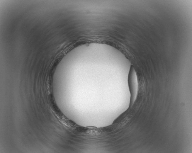 X0000078000764200611251437