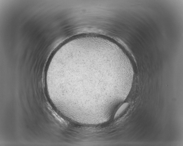 X0000078000791200611251436