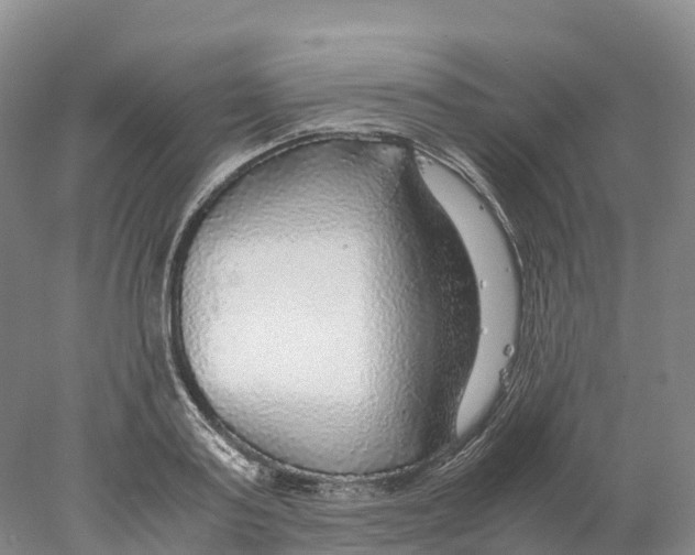 X0000078000795200611251436