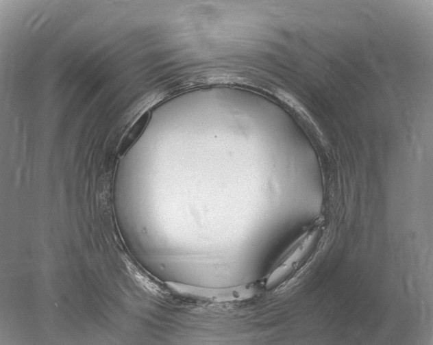 X0000078000801200611251436