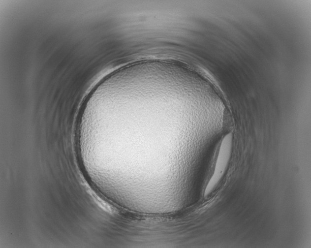 X0000078000803200611251436