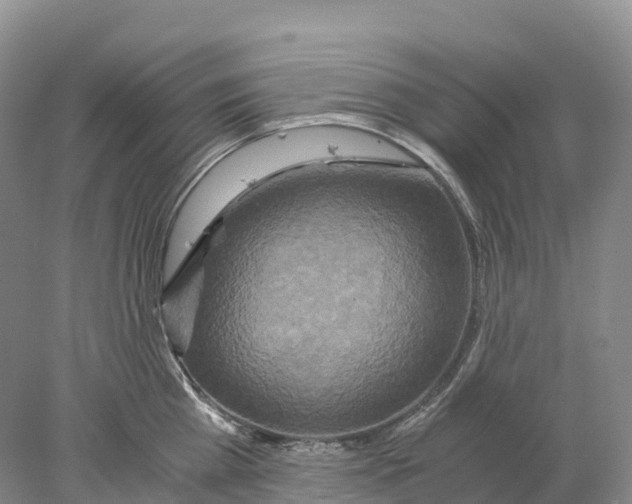 X0000078000809200611251436