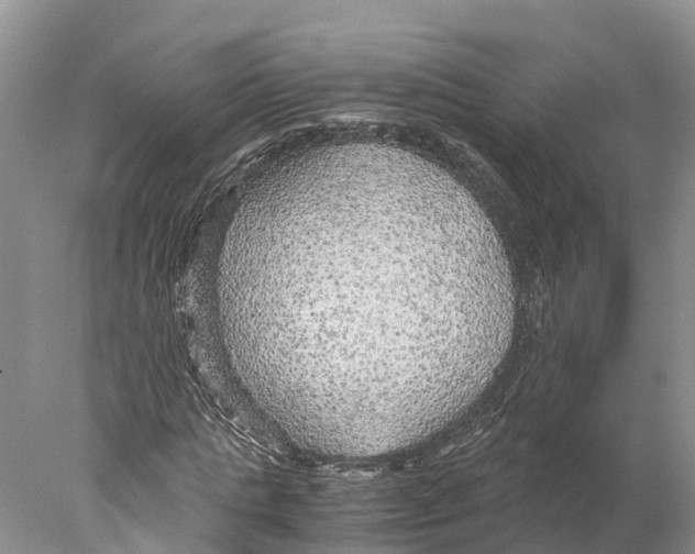 X0000078000821200611251435