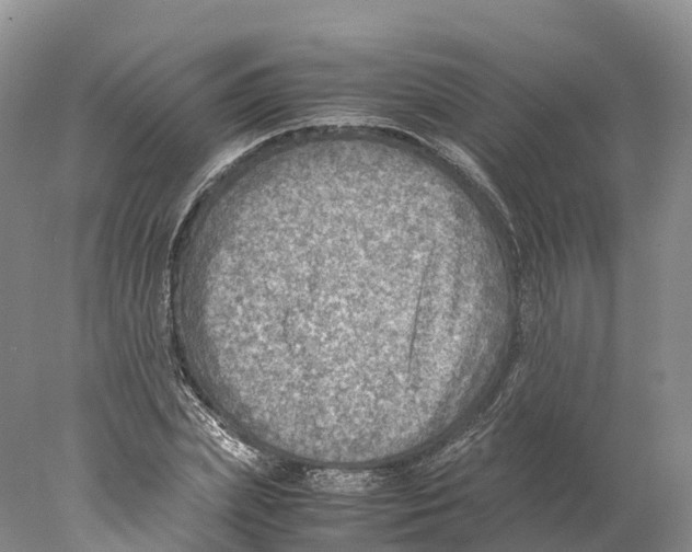 X0000078000831200611251435