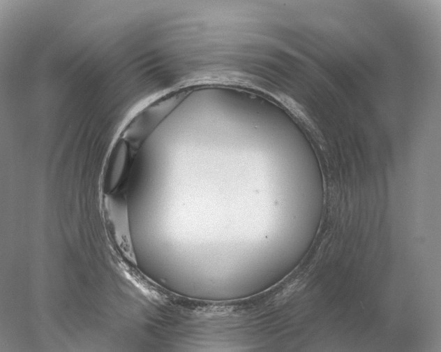 X0000078000846200611251435