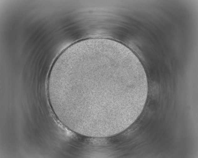 X0000078000856200611251435