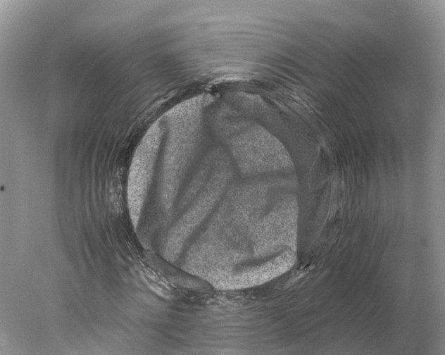 X0000078000868200611251435