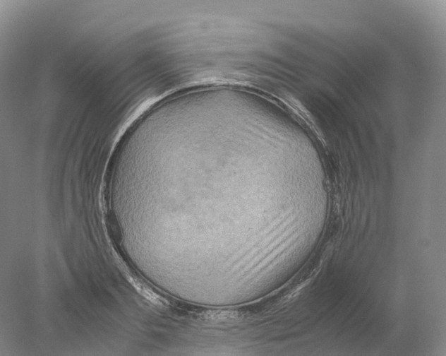 X0000078000893200611251434