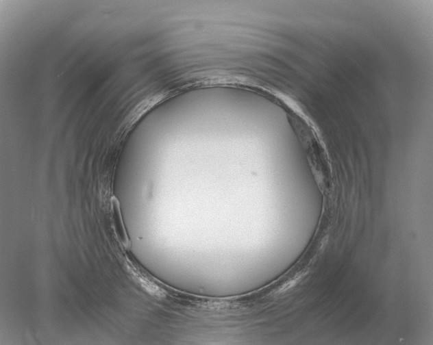 X0000078000897200611251434