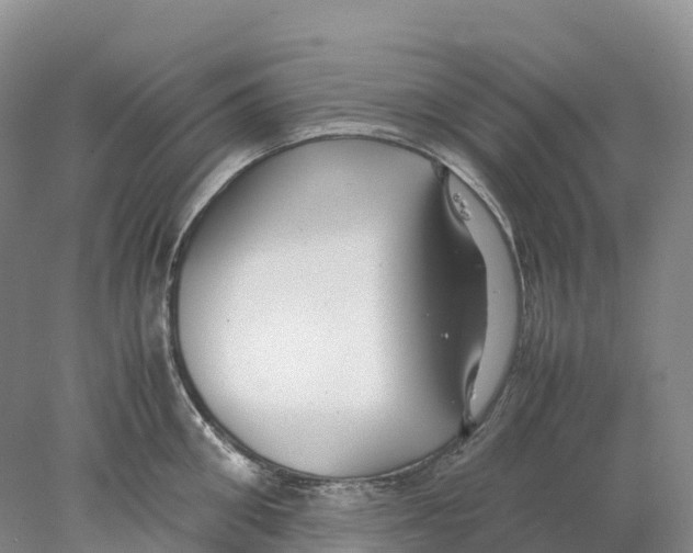 X0000078000906200611251434