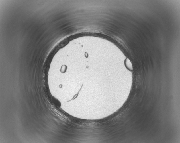 X0000078000926200611251433