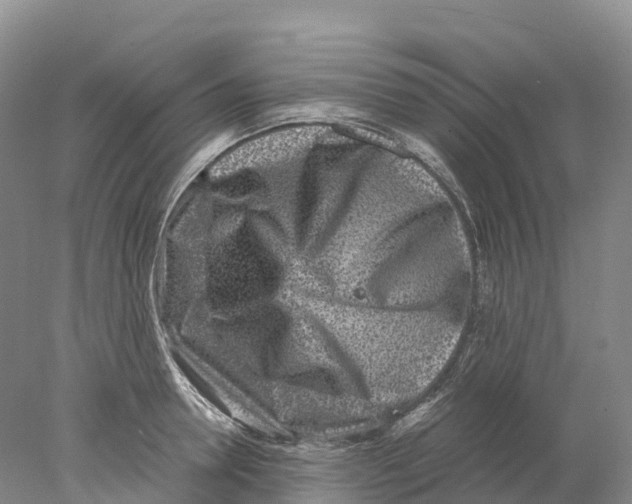 X0000078000946200611251434