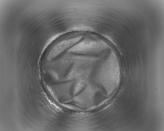 X0000078001022200611251432