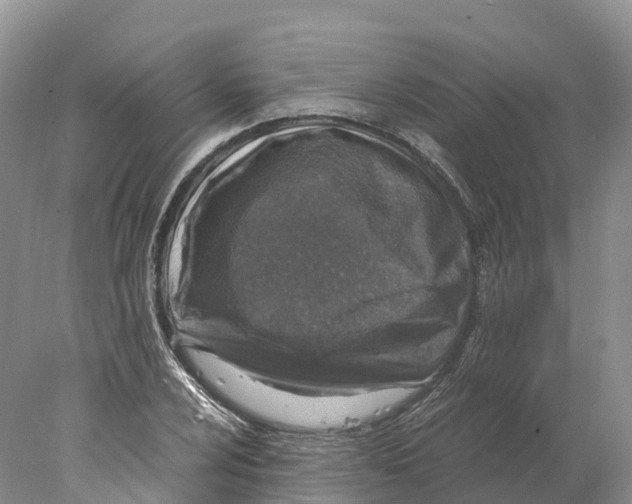 X0000078001024200611251432