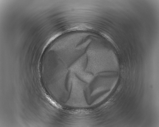 X0000078001026200611251432