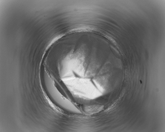 X0000078001034200611251432