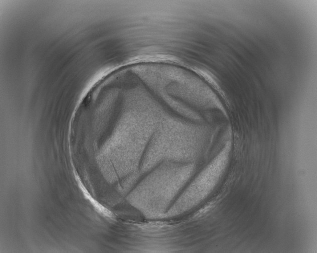 X0000078001046200611251432