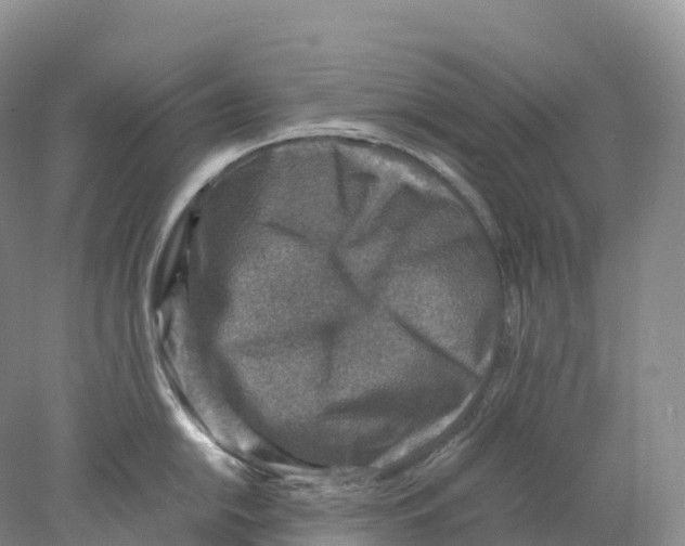 X0000078001054200611251432