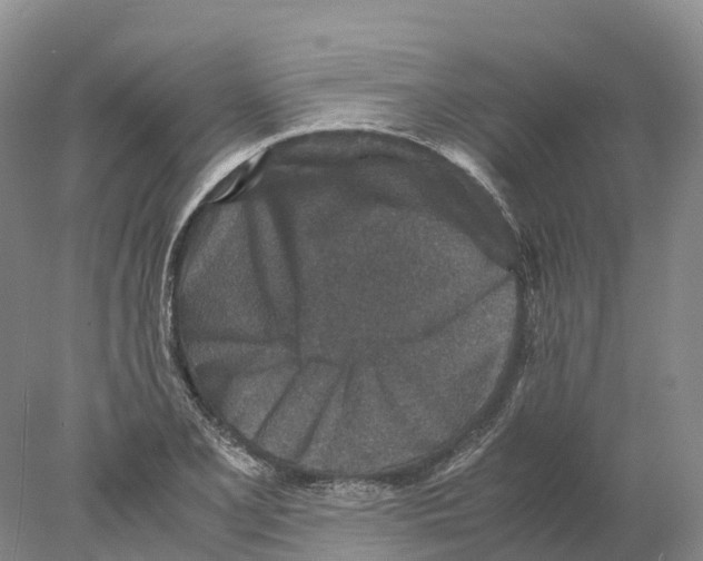 X0000078001077200611251431