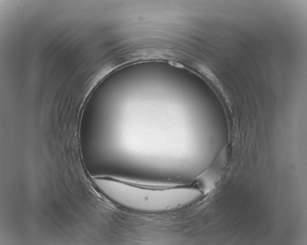 X0000078001089200611251431