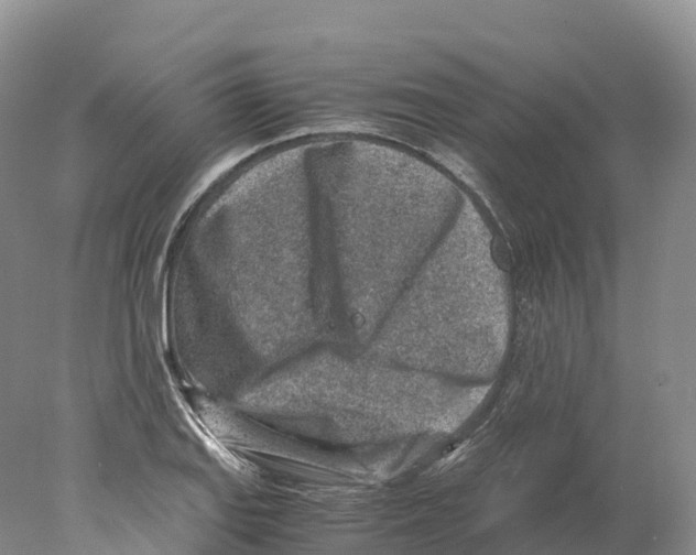 X0000078001127200611251430