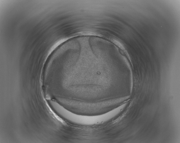 X0000078001141200611251430