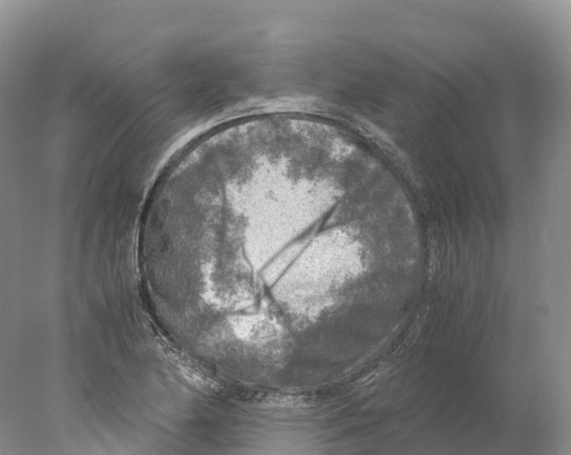 X0000078001174200611251429