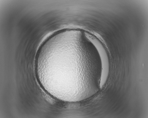 X0000078001183200611251429