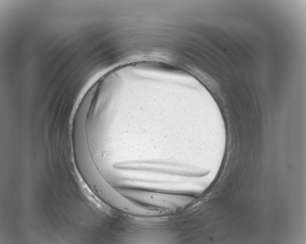 X0000078001200200611251429