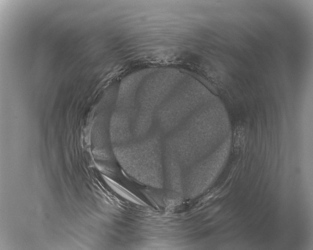 X0000078001202200611251428