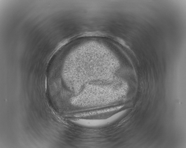 X0000078001221200611251428