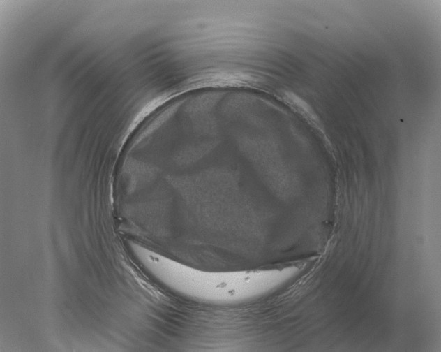 X0000078001226200611251429