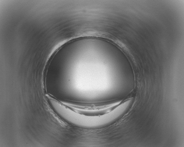 X0000078001230200611251429