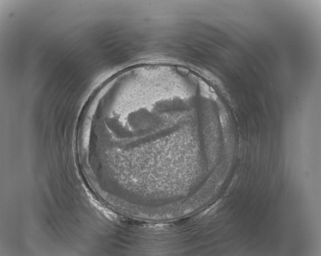 X0000078001231200611251429