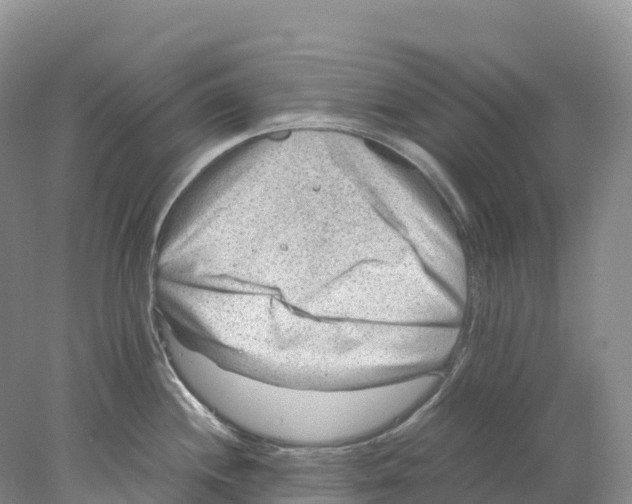 X0000078001244200611251429