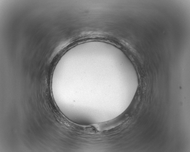 X0000078001261200611251428